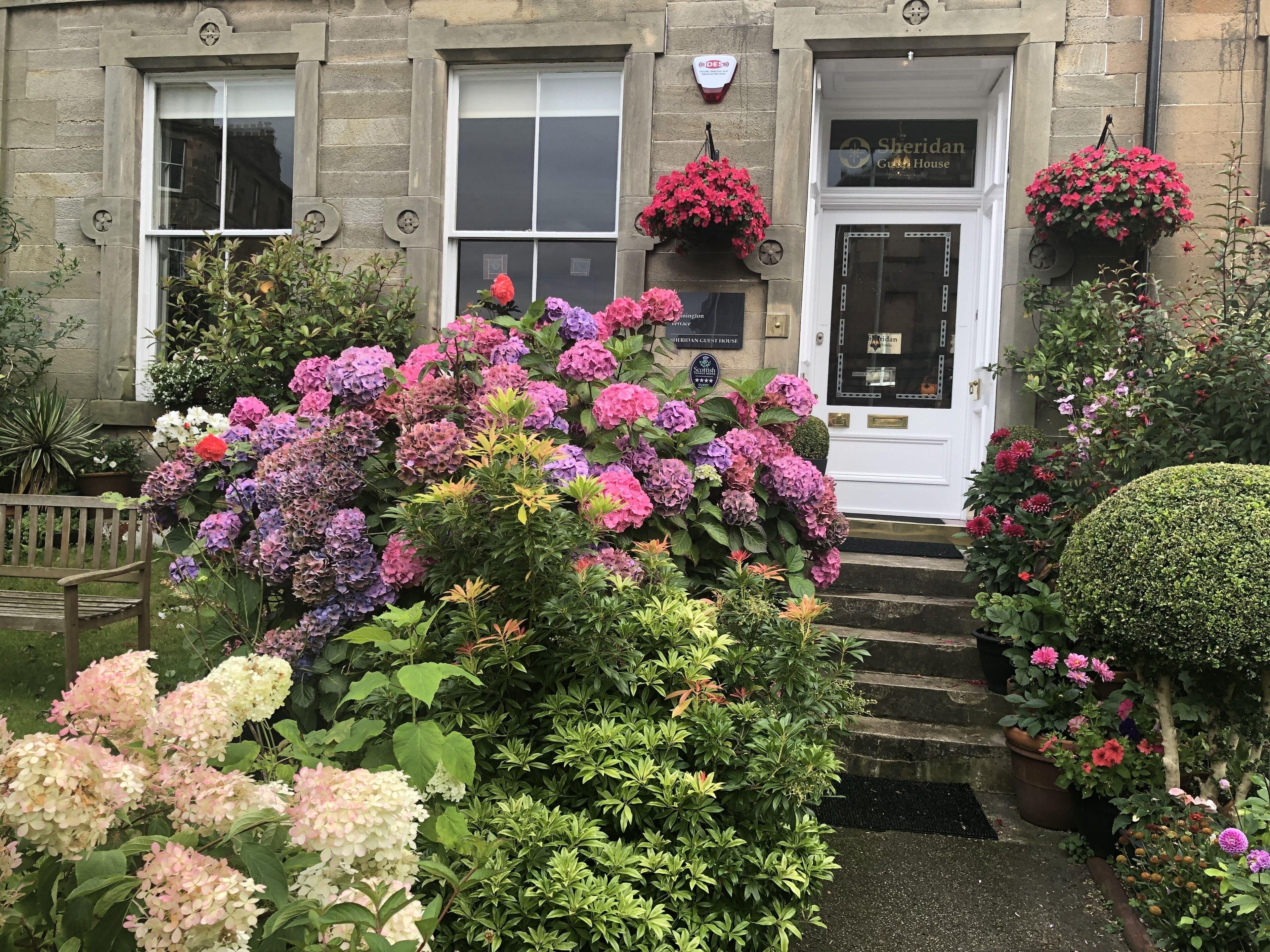 Sheridan Guest House — Photos 2